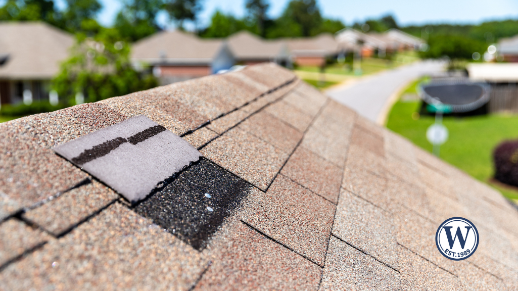 Close-up of missing roof shingles in a suburban Southwest Florida neighborhood following hurricane damage