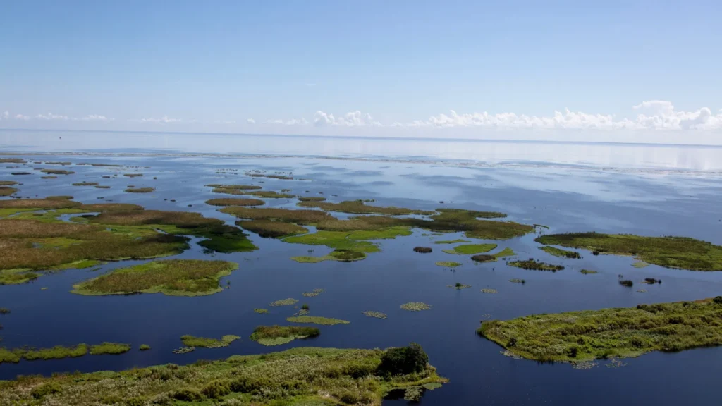 Aerial view of Lake Okeechobee with marsh islands and open water under a clear sky, the central source of freshwater flowing toward Southwest Florida's coast