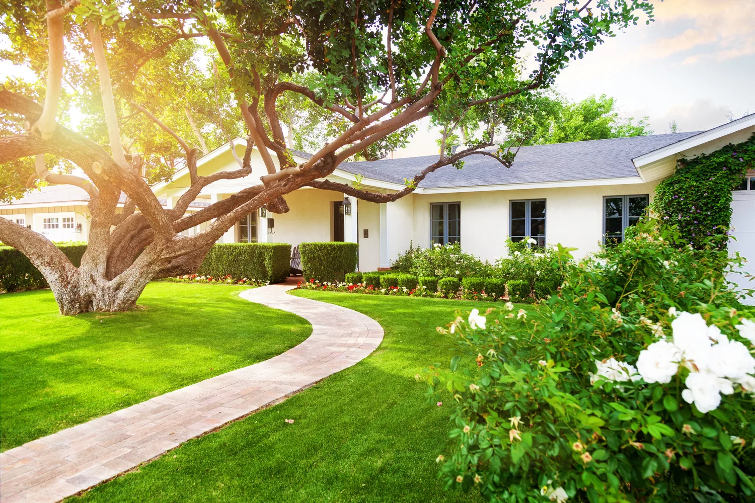 Single-story Southwest Florida home with a curved paver walkway, mature shade tree, and blooming rose garden.